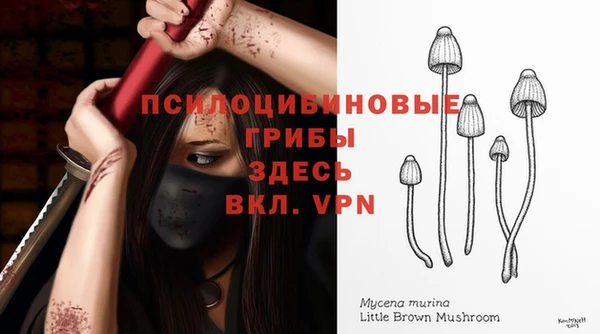 соль курить ск Арсеньев