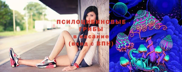 соль курить ск Арсеньев