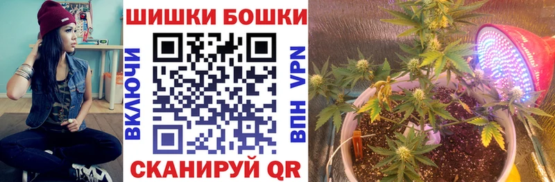 где можно купить   Подпорожье  kraken сайт  Бошки марихуана VHQ 